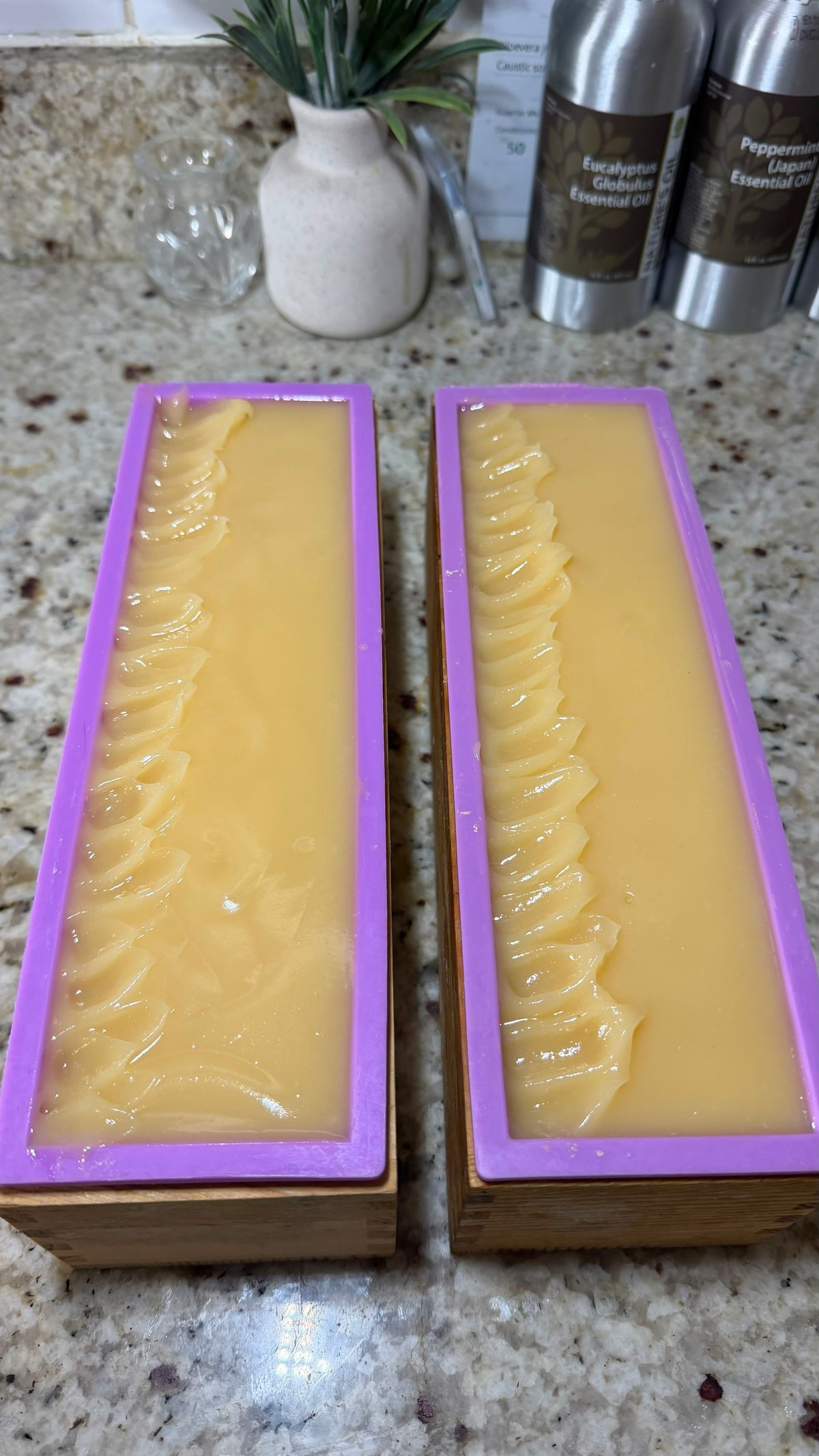 Rice & Aloe Silk Soap